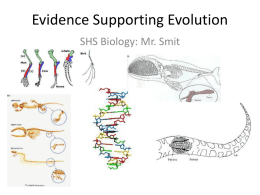 Evidence Supporting Evolution SHS Biology: Mr. Smit Homologies / Homologus Structures  Homologus arrangements of bones and other anatomical structures across various species.