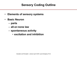 Sensory Coding Outline • Elements of sensory systems • Basic Neuron – parts – all-or-none law – spontaneous activity • excitation and inhibition  Sensation and Perception -
