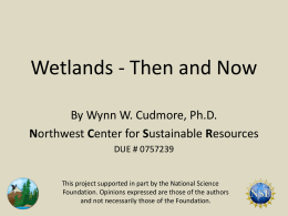 Wetlands - Then and Now By Wynn W. Cudmore, Ph.D. Northwest Center for Sustainable Resources DUE # 0757239  This project supported in part by.