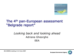 The 4th pan-European assessment “Belgrade report” Looking back and looking ahead Adriana Gheorghe EEA  8th WGEMA meeting 12-13 June 2007