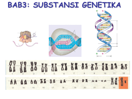 BAB3: SUBSTANSI GENETIKA KROMOSOM Bagian-bagian kromosom • 1. kromatid. • 2. senrtomer. • 3.