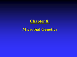 Chapter 8:  Microbial Genetics Introduction  Genetics is the science of heredity.  Study of genes:   How they carry information    How they are replicated    How they are.