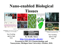 Nano-enabled Biological Tissues http://www.afs.enea.it/ project/cmast/group3. php  http://laegroup.ccmr.cornell.edu/ COURTESY: Nature Reviews Molecular Cell Biology, 4, 237-243 (2003).  Your funding agency logo here  COURTESY: http://library.thinkquest.org/ 05aug/00736/nanomedicine.htm  Your funding agency logo here  By Bradly Alicea http://www.msu.edu/~aliceabr/ Presented to PHY 913 (Nanotechnology.