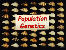 1 The Gene Pool  •Members of a species  can interbreed & produce fertile offspring Species have a shared gene pool Gene pool – all of the alleles of.