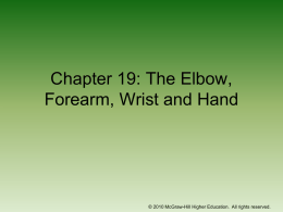 Chapter 19: The Elbow, Forearm, Wrist and Hand  &copy; 2010 McGraw-Hill Higher Education.
