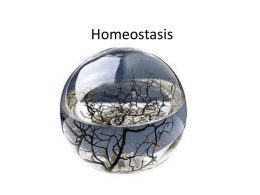 Homeostasis Section 2: Acid-Base Balance • Acid-base balance (H+ production = loss) – Normal plasma pH: 7.35–7.45 – H+ gains: many metabolic activities.