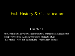 Fish History & Classification  Chapter 11 http://main.nbii.gov/portal/community/Communities/Geographic_ Perspectives/Mid-Atlantic/Featured_Projects/EKey__Electronic_Key_for_Identifying_Freshwater_Fishes/ Part I: Early Fishes Ostracoderms and Placoderms.