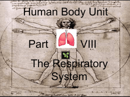 Human Body Unit  Part  VIII  The Respiratory System • RED SLIDE: These are notes that are very important and should be recorded in your science journal.  Copyright.