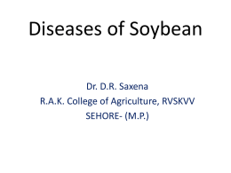 Diseases of Soybean Dr. D.R. Saxena R.A.K. College of Agriculture, RVSKVV SEHORE- (M.P.)