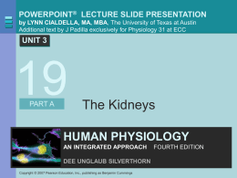 POWERPOINT&reg; LECTURE SLIDE PRESENTATION by LYNN CIALDELLA, MA, MBA, The University of Texas at Austin Additional text by J Padilla exclusively for.