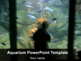 Aquarium PowerPoint Template Your name Example Bullet Point Slide • Bullet point • Bullet point – Sub Bullet.