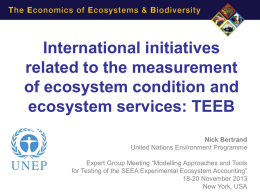 International initiatives related to the measurement of ecosystem condition and ecosystem services: TEEB Nick Bertrand United Nations Environment Programme Expert Group Meeting “Modelling Approaches and Tools for.
