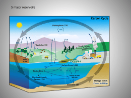 5 major reservoirs 5 major reservoirs: atmosphere, terrestrial biosphere, oceans (and ocean critters), sediments, earth’s interior.