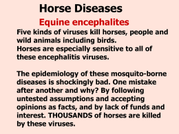 Horse Diseases Equine encephalites Five kinds of viruses kill horses, people and wild animals including birds. Horses are especially sensitive to all of these encephalitis.