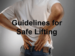Guidelines for Safe Lifting Guidelines for Safe Lifting The Spine’s Basic Functions  • Provides support • Protects the spinal cord • Provides flexibility for bending and rotating.