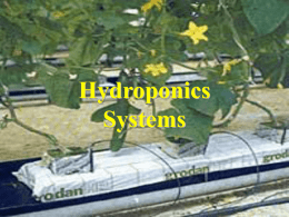 Hydroponics Systems Comes from Latin and means “Working Water”. It’s the growing of plants without soil.