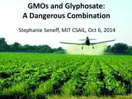 GMOs and Glyphosate: A Dangerous Combination Stephanie Seneff, MIT CSAIL, Oct 6, 2014