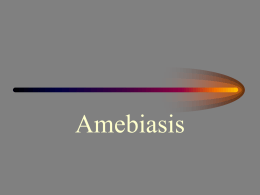 Amebiasis Amebas Patógenas • Intestinales – Entamoeba histolytica  • Tisulares (Amebas de Vida Libre) – Acanthamoeba – Naegleria.