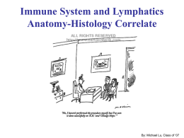 Immune System and Lymphatics Anatomy-Histology Correlate  By: Michael Lu, Class of ‘07