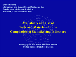 United Nations Interagency and Expert Group Meeting on the Development of Gender Statistics New York, 12-14 December 2006  Availability and Use of Tools and Materials.