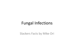 Fungal Infections Slackers Facts by Mike Ori Disclaimer The information represents my understanding only so errors and omissions are probably rampant.