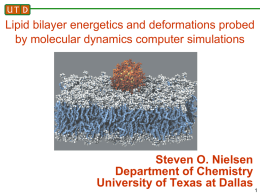 Lipid bilayer energetics and deformations probed by molecular dynamics computer simulations  Steven O.