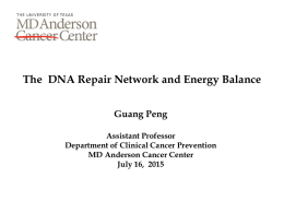 The DNA Repair Network and Energy Balance Guang Peng Assistant Professor Department of Clinical Cancer Prevention MD Anderson Cancer Center July 16, 2015