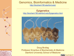 Genomics, Bioinformatics & Medicine http://biochem158.stanford.edu/  Epigenetics http://biochem158.stanford.edu/Epigenetics.html  Doug Brutlag Professor Emeritus of Biochemistry & Medicine Stanford University School of Medicine Doug Brutlag 2011