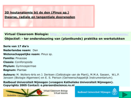 3D houtanatomie bij de den (Pinus sp.) Dwarse, radiale en tangentiale doorsneden  Virtual Classroom Biologie: http://www.vcbio.science.ru.nl/virtuallessons/ Objectief: - ter ondersteuning van (plantkunde) praktika.