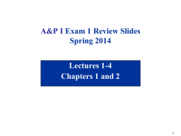 A&P I Exam 1 Review Slides Spring 2014  Lectures 1-4 Chapters 1 and 2