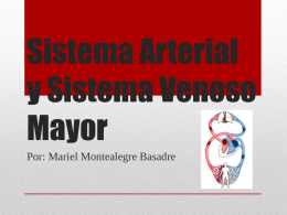 Sistema Arterial y Sistema Venoso Mayor Por: Mariel Montealegre Basadre ARTERIAS • vasos que llevan la sangre oxigenada desde el corazón a las demás.