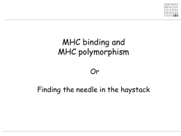 MHC binding and MHC polymorphism Or  Finding the needle in the haystack MHC-I molecules present peptides on the surface of most cells.
