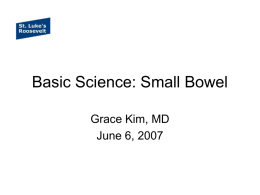 Basic Science: Small Bowel Grace Kim, MD June 6, 2007 Basic Anatomy • 270-290 cm from pylorus to cecum – Duo 20 cm – Jejunum 100