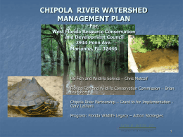 CHIPOLA RIVER WATERSHED MANAGEMENT PLAN For  West Florida Resource Conservation and Development Council 2944 Penn Ave. Marianna, FL.