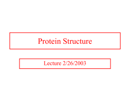 Protein Structure Lecture 2/26/2003 Protein Structures A study in the structure-function of proteins. Amino acid sequence dictates function. Structures are not “static” but breath.