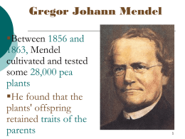 Gregor Johann Mendel Between 1856 and 1863, Mendel cultivated and tested some 28,000 pea plants He found that the plants' offspring retained traits of the parents.