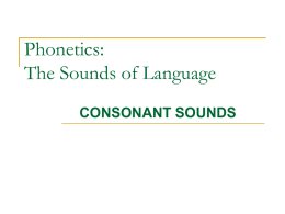 Phonetics: The Sounds of Language CONSONANT SOUNDS Three ways of approaching phonetics:   Articulatory Phonetics:     Acoustic Phonetics:     Physiological mechanism of speech production.  The physical properties of sound.