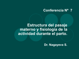 Conferencia Nº 7  Estructura del pasaje materno y fisiología de la actividad durante el parto. Dr.