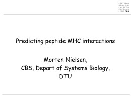 Predicting peptide MHC interactions Morten Nielsen, CBS, Depart of Systems Biology, DTU MHC Class I pathway Finding the needle in the haystack 1/200 peptides make to.