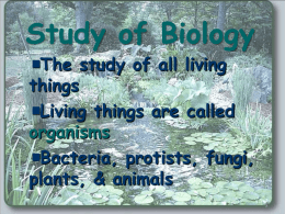 Study of Biology The study of all living things Living things are called organisms Bacteria, protists, fungi, plants, & animals.