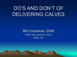 DO’S AND DON’T OF DELIVERING CALVES Bill Croushore, DVM White Oak Veterinary Clinic Berlin, PA.