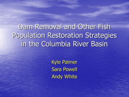 Dam Removal and Other Fish Population Restoration Strategies in the Columbia River Basin Kyle Palmer Sara Powell Andy White.