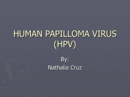 HUMAN PAPILLOMA VIRUS (HPV) By: Nathalia Cruz What is a Virus? ► Exceptionally  simple living microbes. ► Contain a single type of nucleic acid (DNA or RNA)