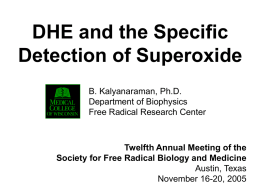 DHE and the Specific Detection of Superoxide B. Kalyanaraman, Ph.D. Department of Biophysics Free Radical Research Center  Twelfth Annual Meeting of the Society for Free Radical.