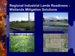 Regional Industrial Lands Readiness Wetlands Mitigation Solutions Regional Industrial Lands Readiness - Wetlands Mitigation Solutions Coordinated by –  Oregon Cascades West Council of Governments In partnership.