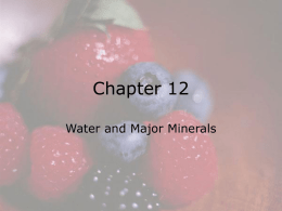Chapter 12 Water and Major Minerals  © 2008 Thomson - Wadsworth Water and the Body Fluids • The main role of water is.