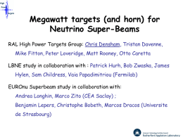 Megawatt targets (and horn) for Neutrino Super-Beams RAL High Power Targets Group: Chris Densham, Tristan Davenne, Mike Fitton, Peter Loveridge, Matt Rooney, Otto.