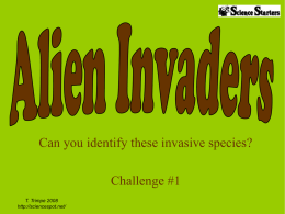 Can you identify these invasive species?  Challenge #1 T. Trimpe 2008 http://sciencespot.net/ How many of these invaders can you identify?  Emerald Ash Borer  Cane Toad I am.