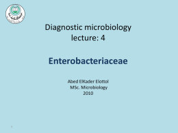 Diagnostic microbiology lecture: 4  Enterobacteriaceae Abed ElKader Elottol MSc. Microbiology SHIGELLAE •The genus Shigella contains fewer species than the genus Salmonella and is antigenically less complex. •