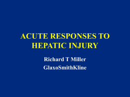 ACUTE RESPONSES TO HEPATIC INJURY Richard T Miller GlaxoSmithKline OUTLINE • Chronology of injury • Types of injury (a few definitions) - Patterns/Cells • Responses to injury -